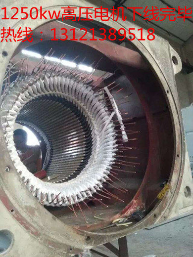 高压电机维修，北京大型高压电机、电动机维修、检修、维护